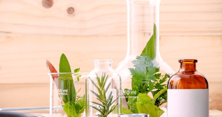 Alternative health care fresh herbal in laboratory glassware  with  stethoscope on wooden background.